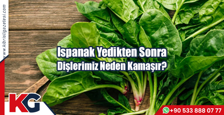 Ispanak Yedikten Sonra Dişlerimiz Neden Kamaşır?
