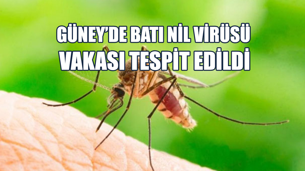 Bölgede İlaçlama Çalışması Başlatıldığı Bildirildi