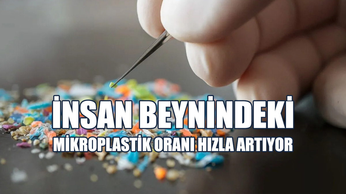 Felç Ve Kalp Krizleriyle İlişkili Olabilir!