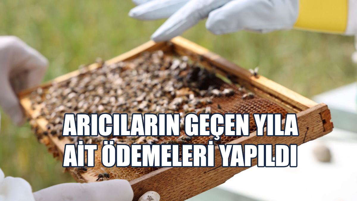 Arıcıların Geçen Yıla Ait Ödemeleri Yapıldı