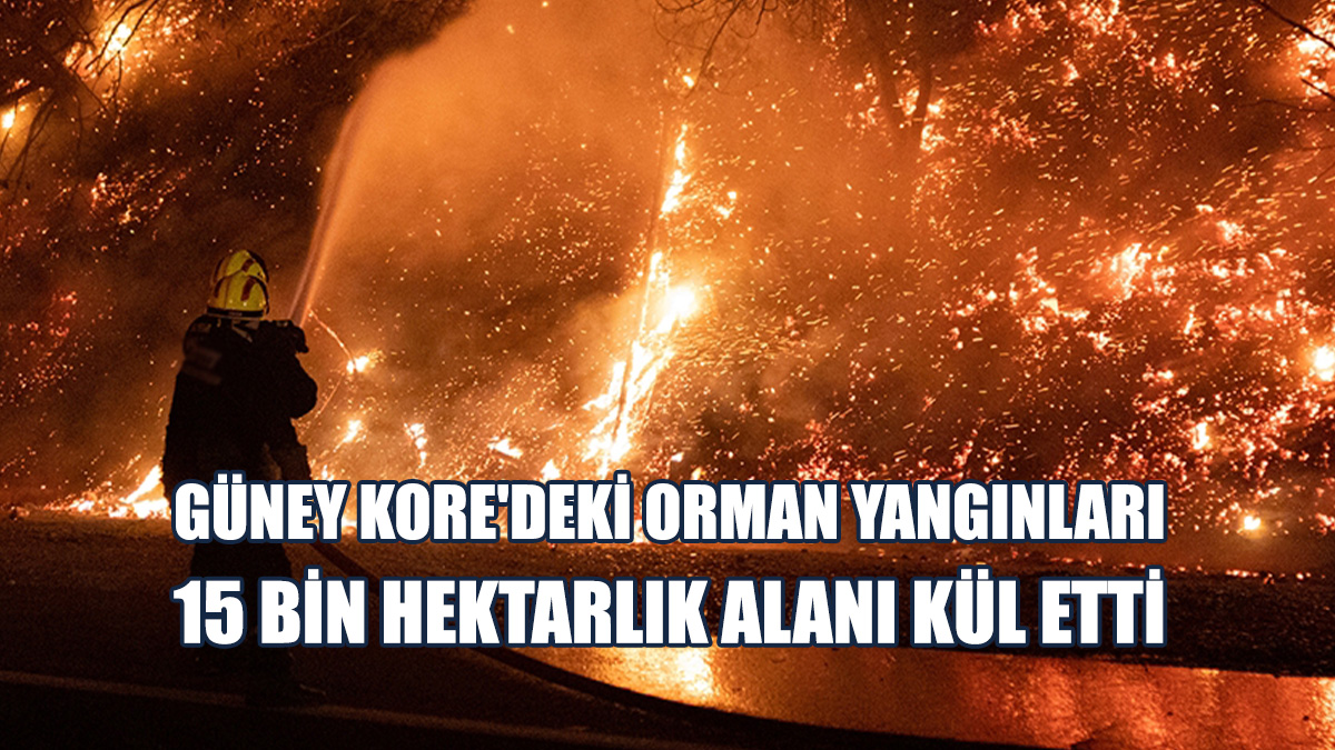 Güney Kore'deki Yangınlar 21 Mart'tan Bu Yana Sürüyor