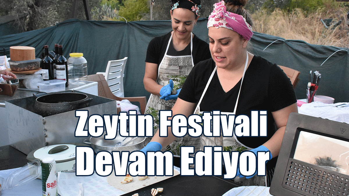 Zeytin Festivali Devam Ediyor