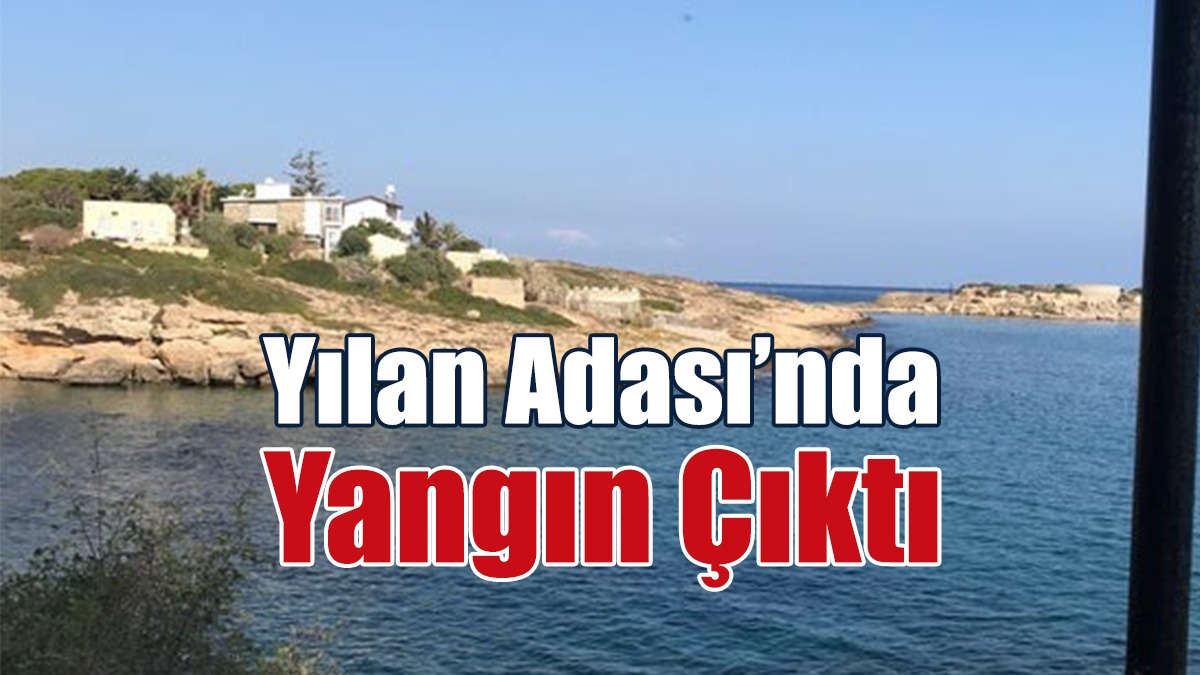 Yılan Adası’nda Yangın Çıktı!