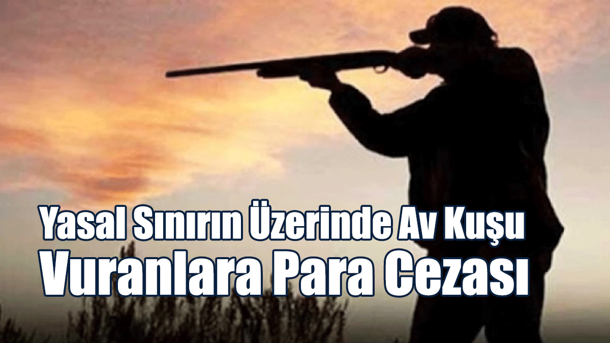 Yasal Sınırın Üzerinde Av Kuşu Vuranlara Para Cezası