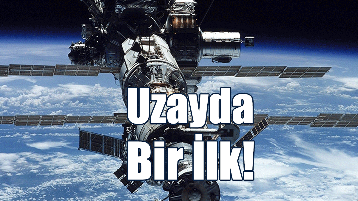 Bilim İnsanları, Uzayda İlk Defa Fare Embriyosu Büyüttü