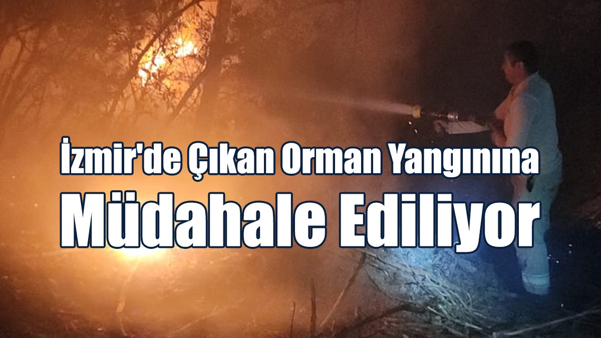 İzmir'de Çıkan Orman Yangınına Müdahale Ediliyor
