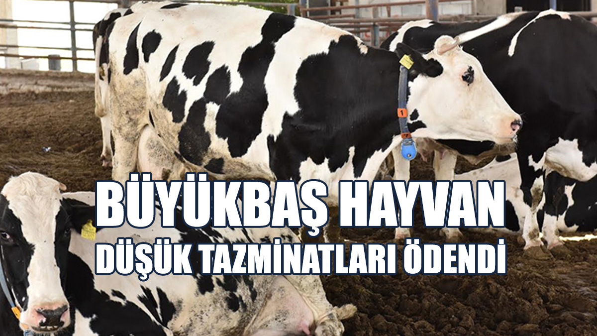 122 Üreticiye Ödeme Yapıldı