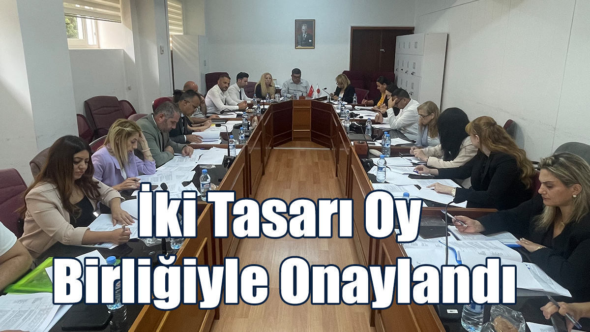İki Tasarı Oy Birliğiyle Onaylandı