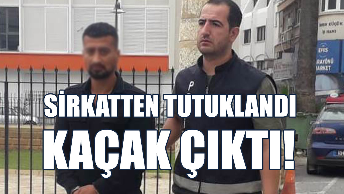Sirkatten Tutuklandı, Kaçak Çıktı!