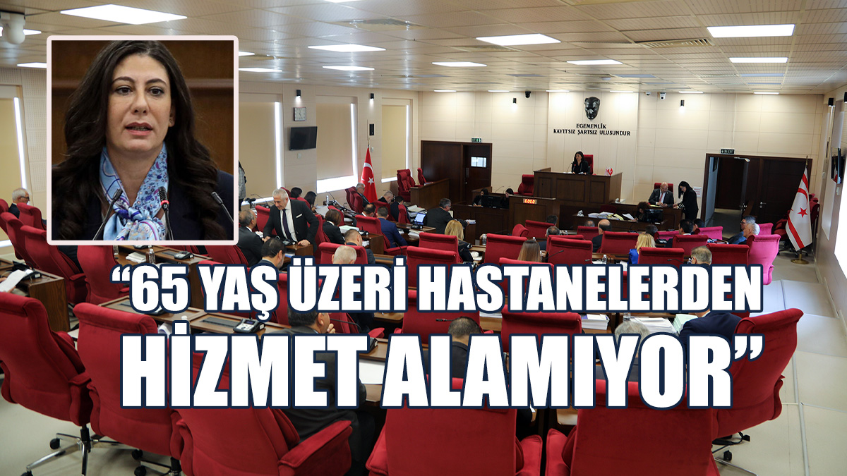 Yaşlıların Sağlığa Erişimi De Gündeme Taşındı