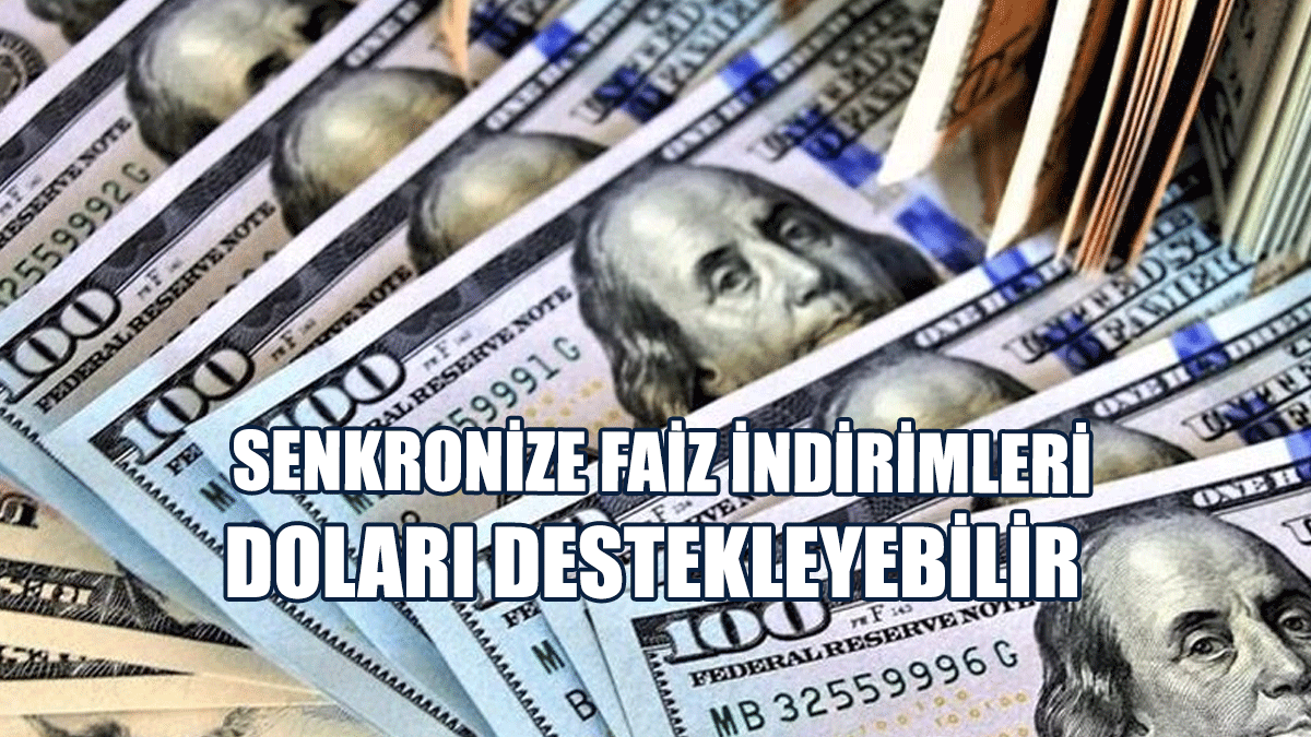 ‘Senkronize Faiz İndirimleri Doları Destekleyebilir’