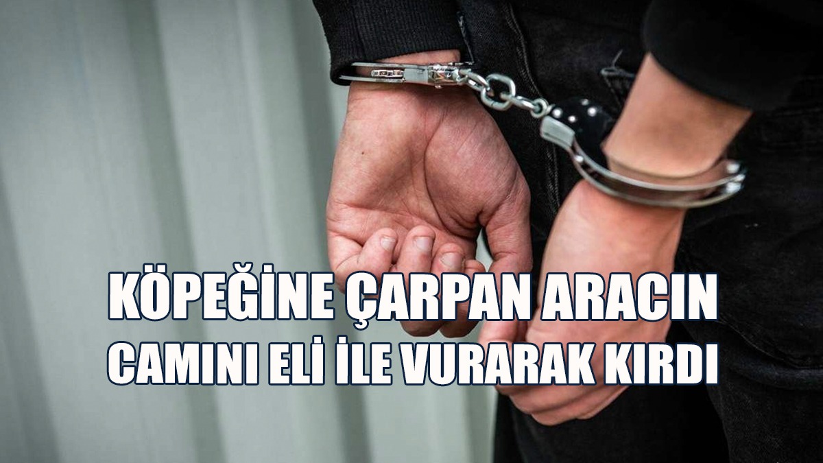 Araç Sürücüsüne Bağırıp Çağırdı