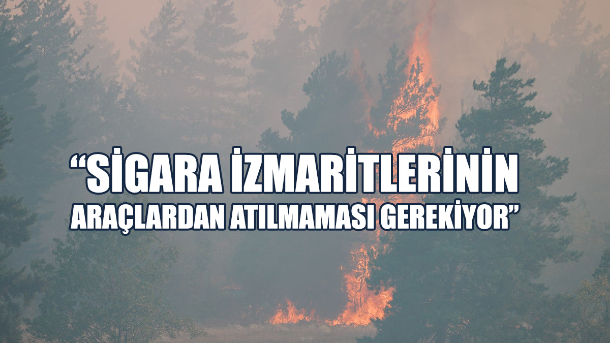 Orman Dairesi, Yangın Tehlikesine Karşı Alınması Gereken Önlemlere Dikkat Çekti