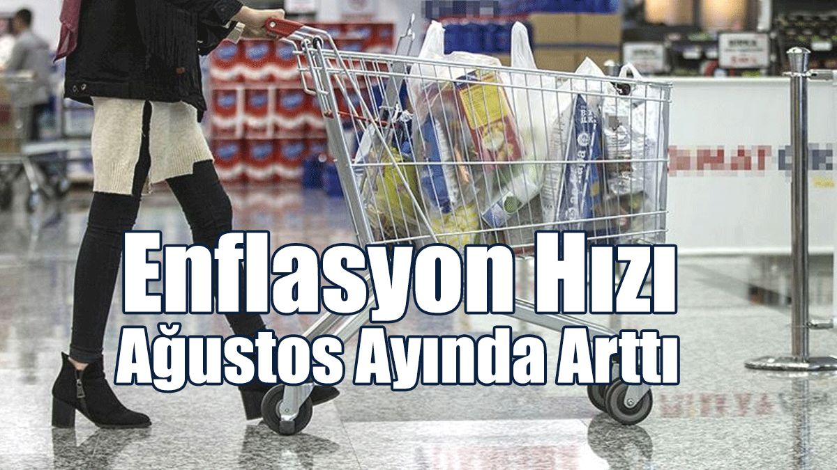 Güney’de Enflasyon Hızı Ağustos Ayında Arttı