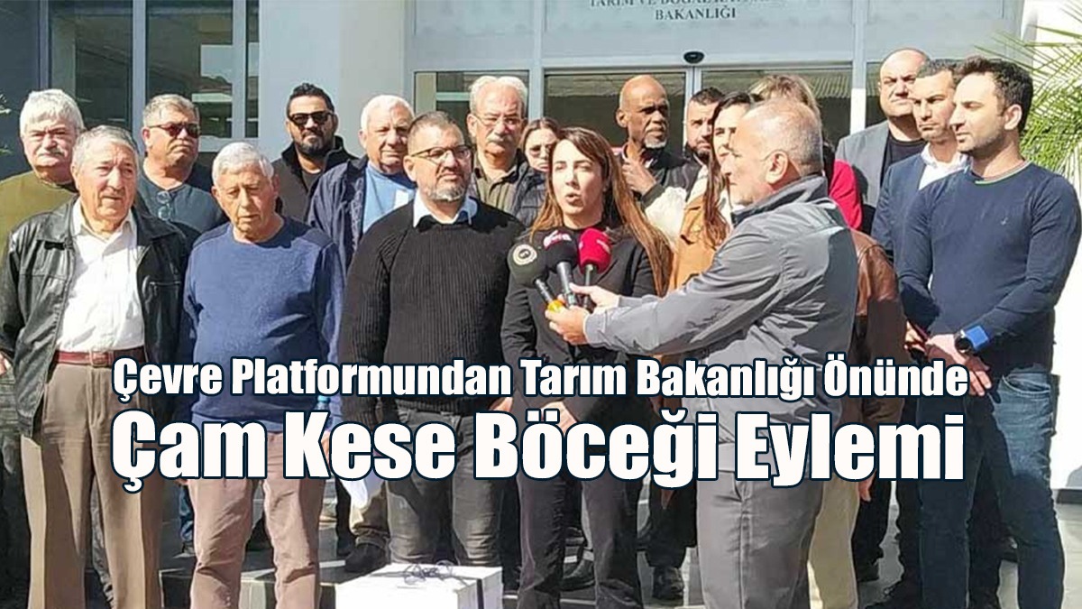 Çevre Platformundan Tarım Bakanlığı Önünde Çam Kese Böceği Eylemi