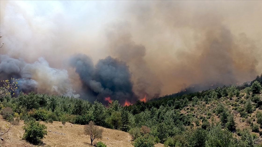 Mersin'de ormanlık alanda yangın çıktı