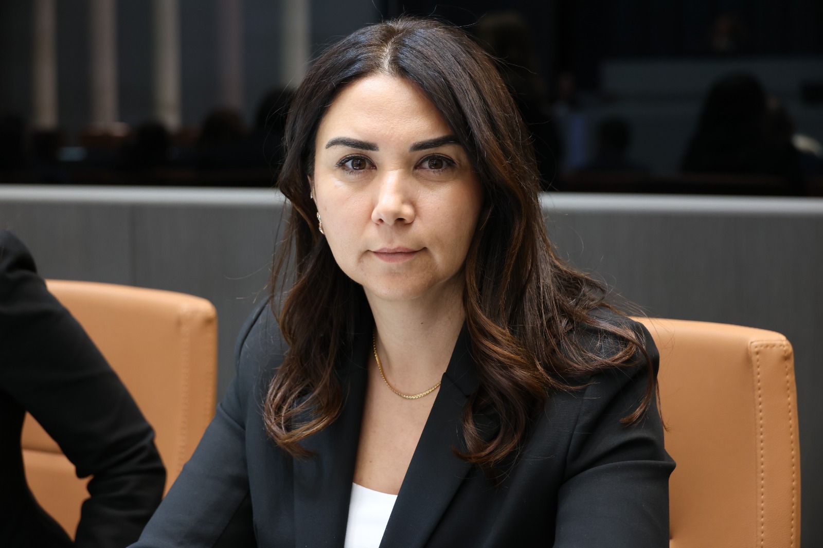 Baybars: Aflarla ülke sorma gir hanına çevrildi