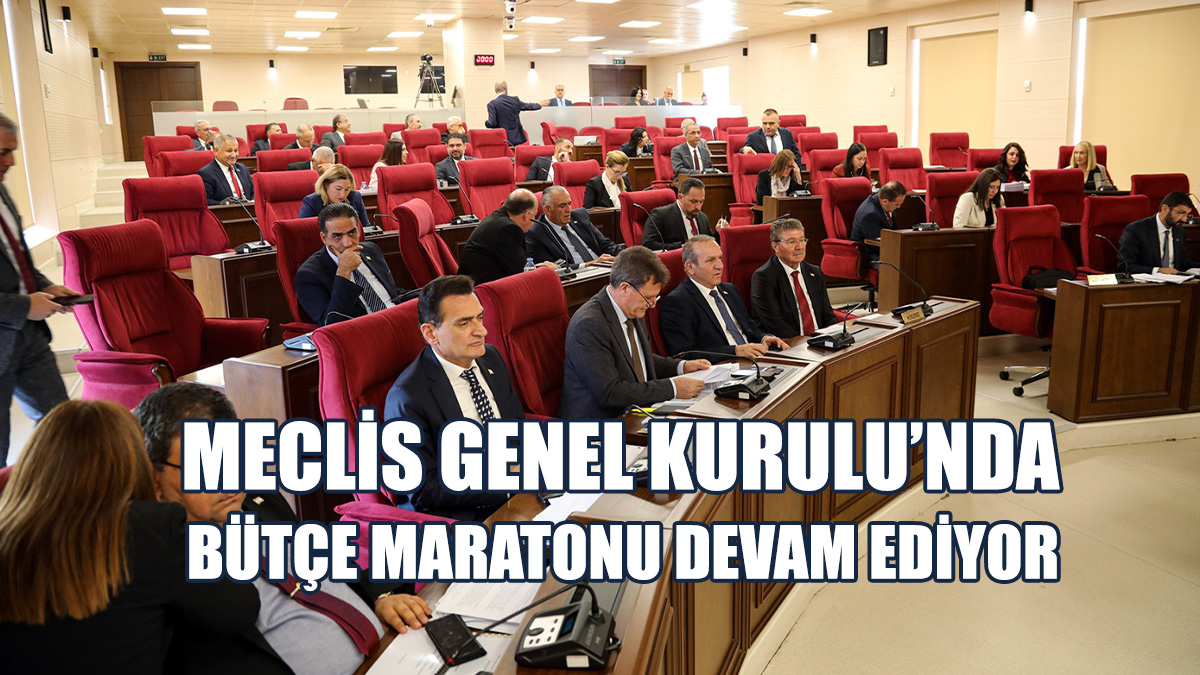 Sayıştay, Mahkemeler, YÖDAK Ve Sağlık Bakanlığı Bütçeleri Görüşülecek