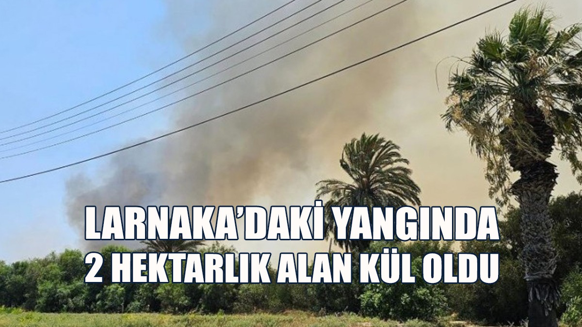 Larnaka Tuz Gölü Yanında Çıkan Yangında 2 Hektarlık Alan Kül Oldu