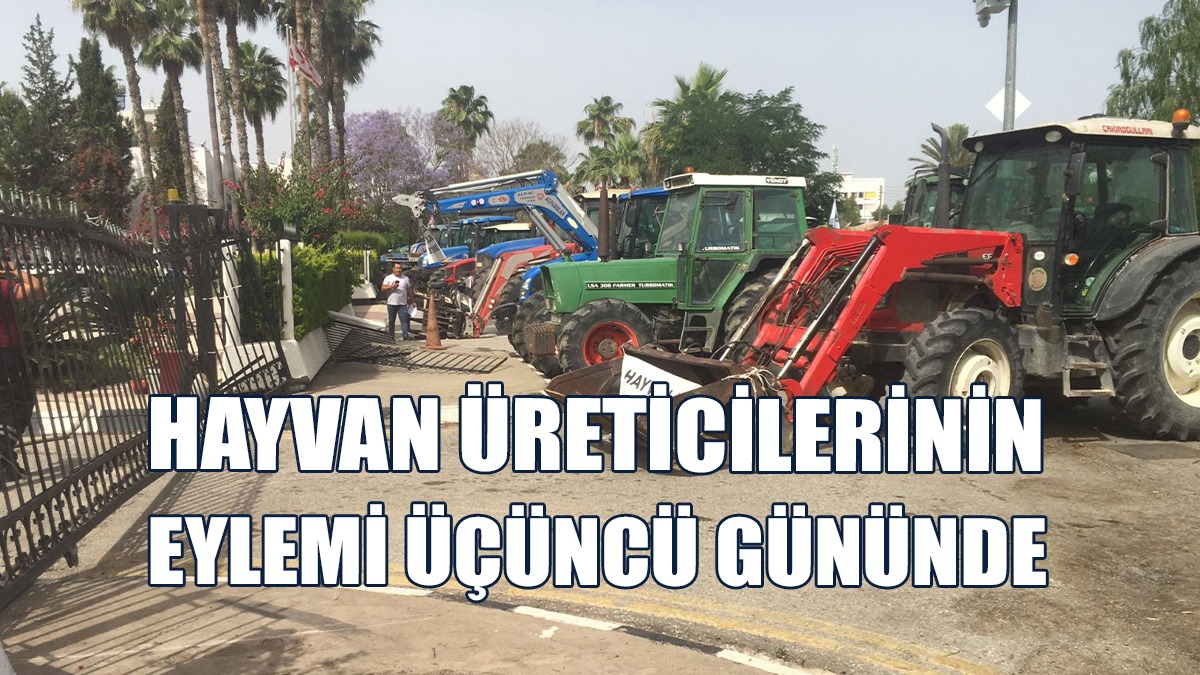 Tutuklanan 4 Eylemci Serbest Bırakıldı