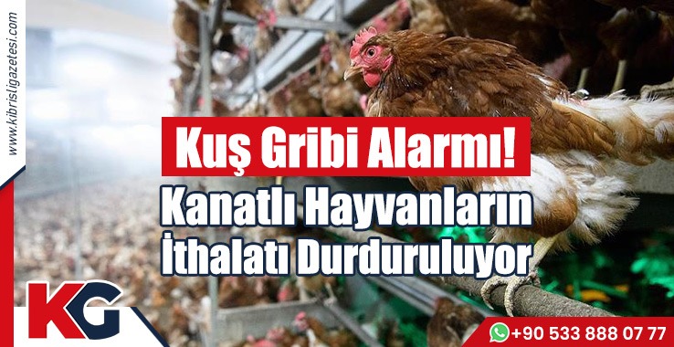 Kuş Gribi Alarmı!