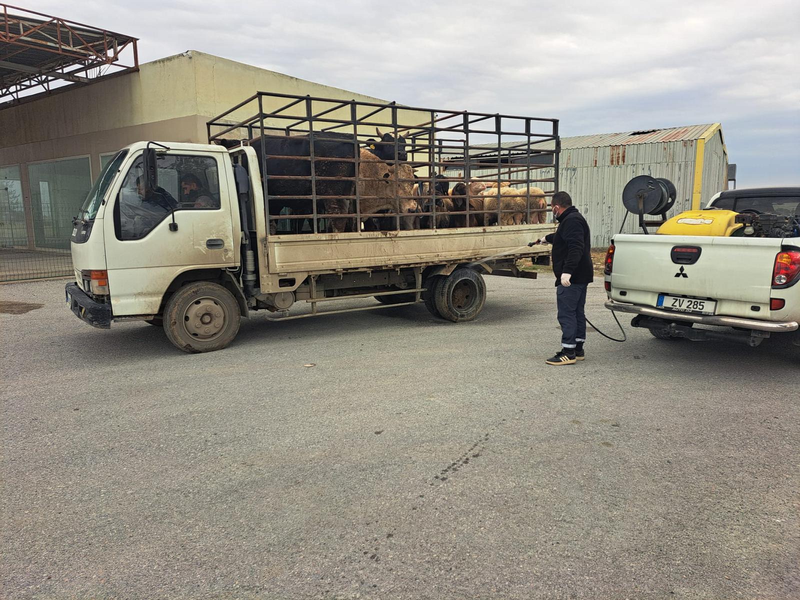 LTB, şap hastalığına karşı tüm tedbirleri hayata geçiriyor