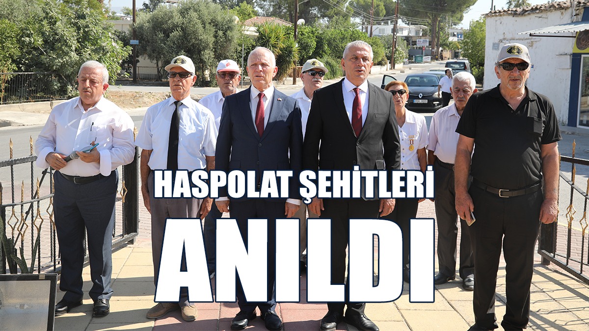 15 Mehmetçik Haspolat'ta Düzenlenen Törenle Anıldı