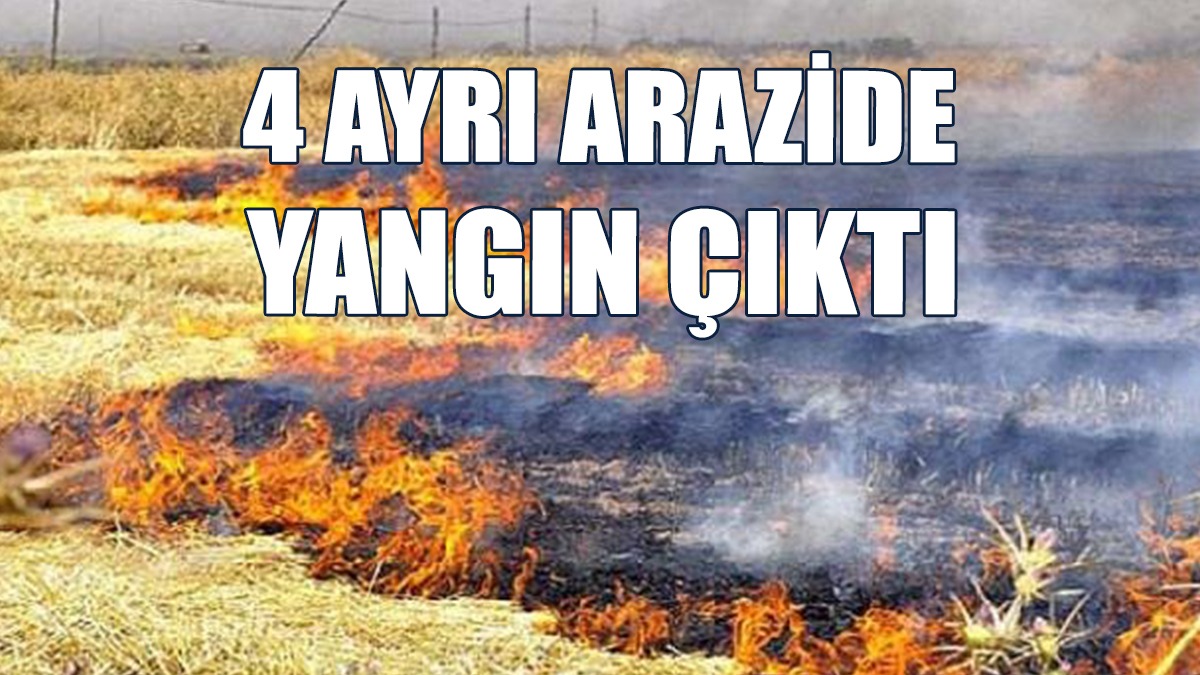 Yangınlar Zarara Neden Oldu...