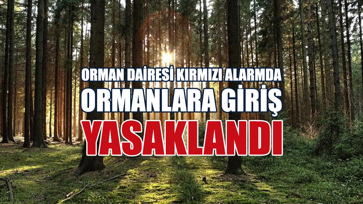 Kırmızı Alarm: Ormanlara Giriş Yasaklandı