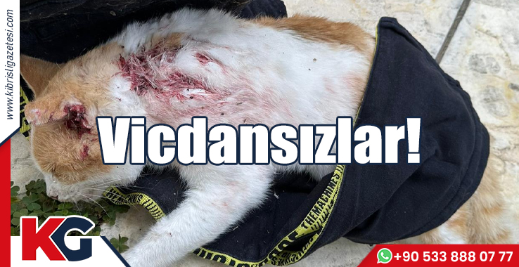 Vicdansızlar!