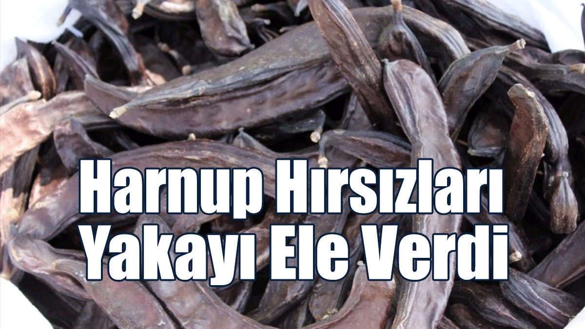 Harnup Hırsızları Yakayı Ele Verdi