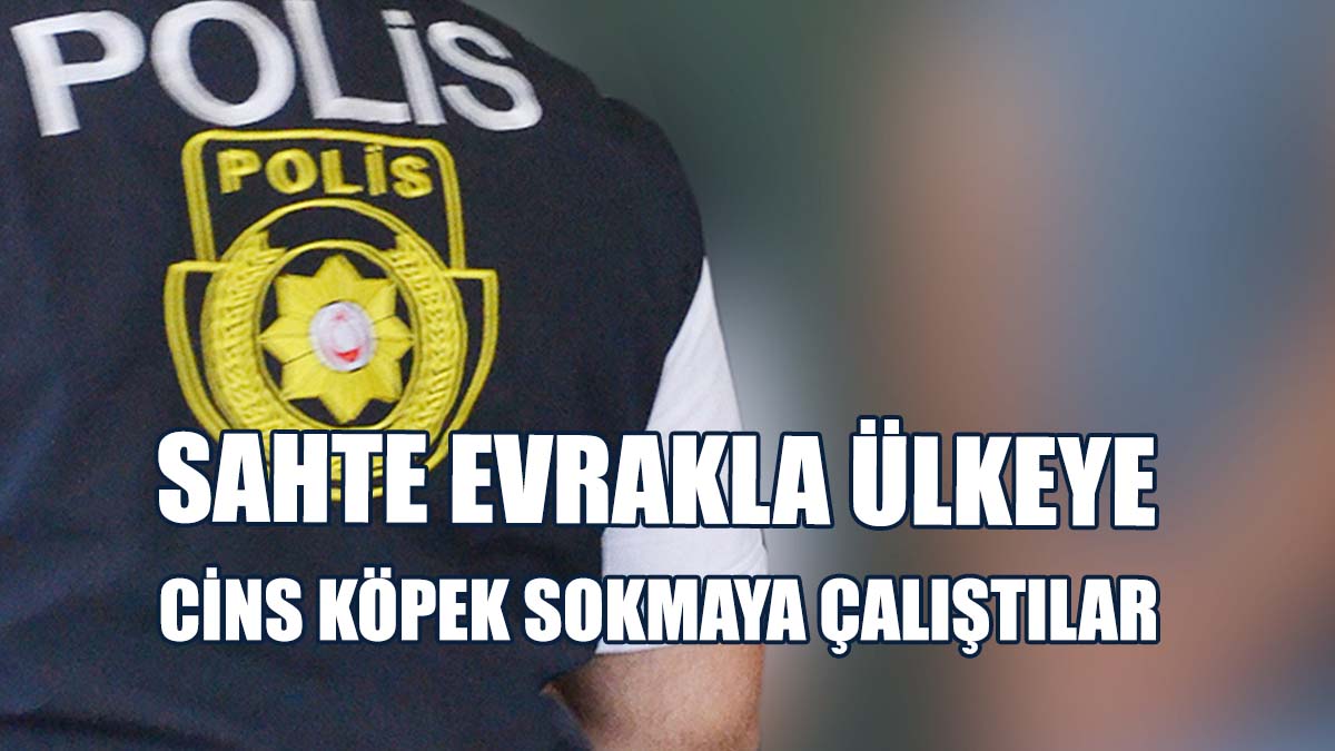 Olayla İlgili 2 Kişi Tutuklandı