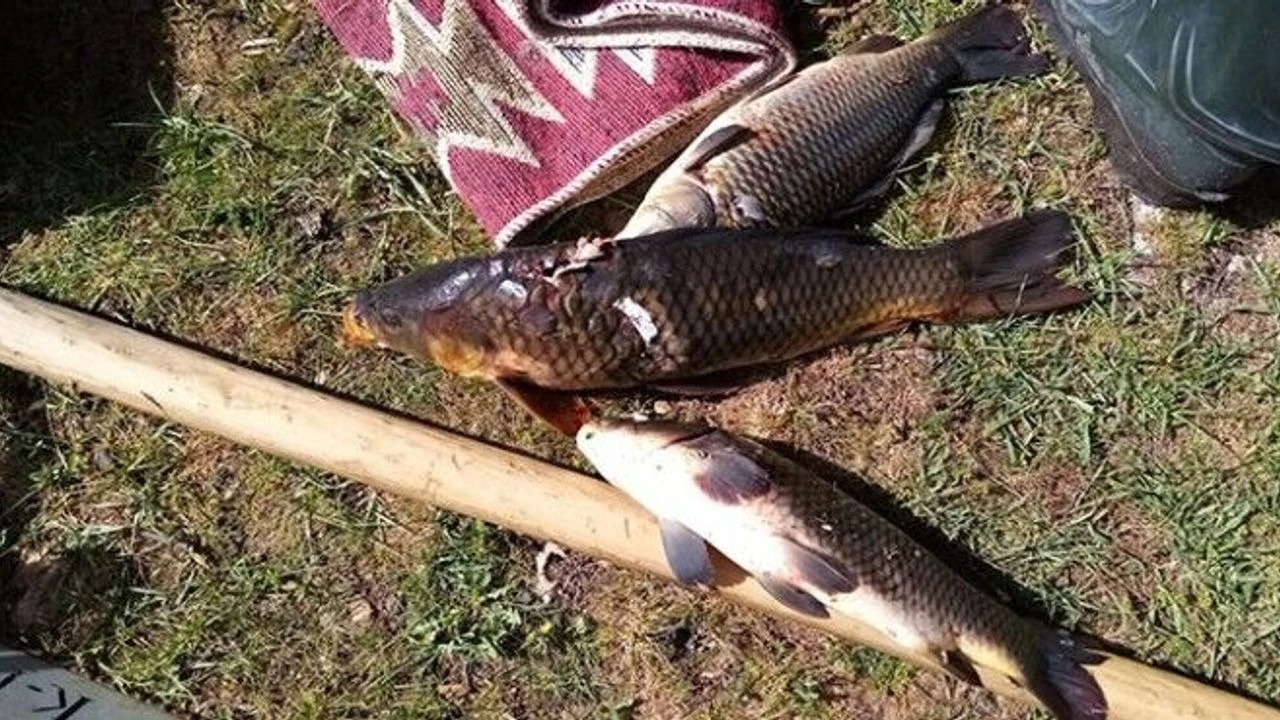 Girne Limanı’nda zıpkınla balık avlayan genç tutuklandı
