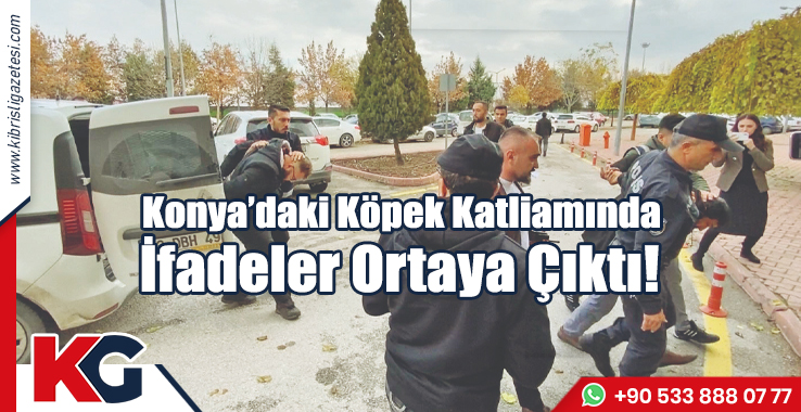 Konya'daki Köpek Katliamında İfadeler Ortaya Çıktı!