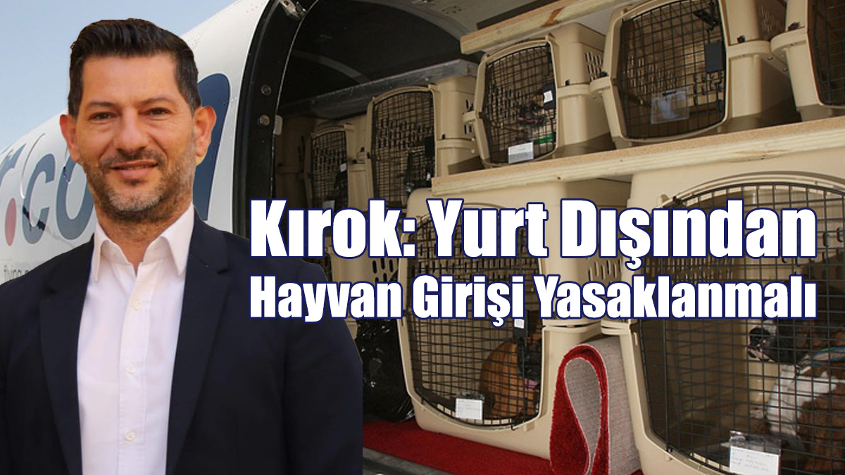 Kırok: Yurtdışından Hayvan Girişi Yasaklanmalı