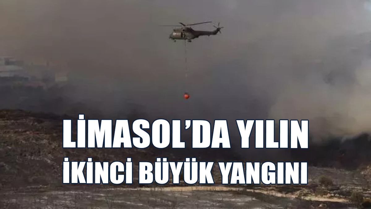 Yangında Dün Akşama Kadar 6 Kilometrekareden Fazla Alan Yandı