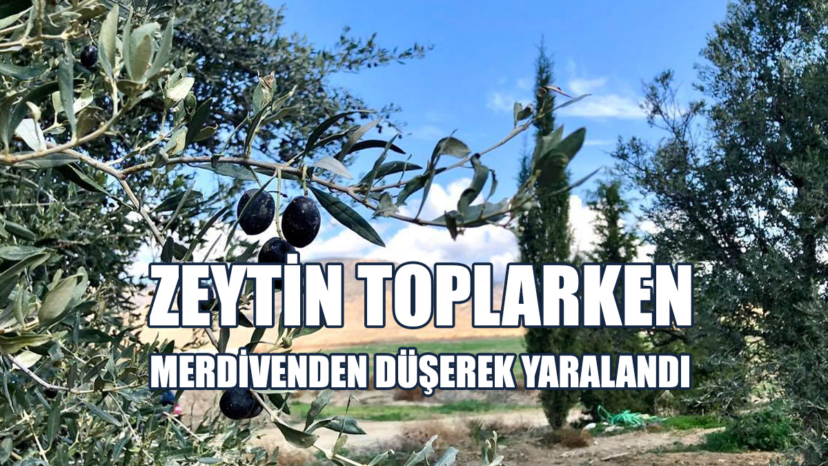 Boğazköy'de, Zeytin Toplarken Merdivenlerden Düştü