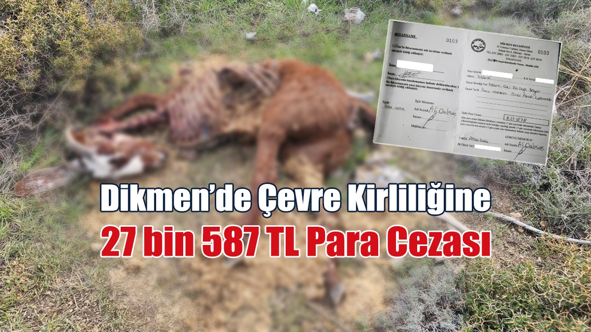 Dikmen’de Çevre Kirliliğine 27 bin 587 TL Para Cezası
