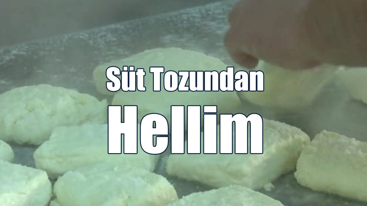 Güney’de Üretilen 7 Bin Ton Hellimde Süt Tozu Kullanıldığından Şüpheleniliyor