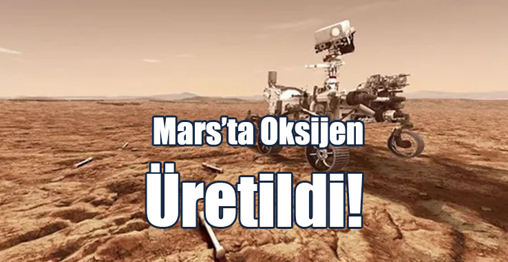 İnsana 3 Saat, Köpeğe 10 Saat Yetiyor