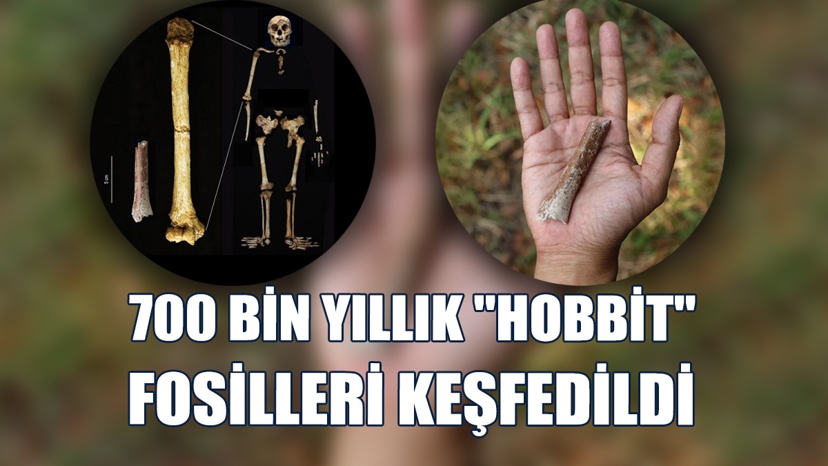 Sanılandan Daha Küçüklermiş