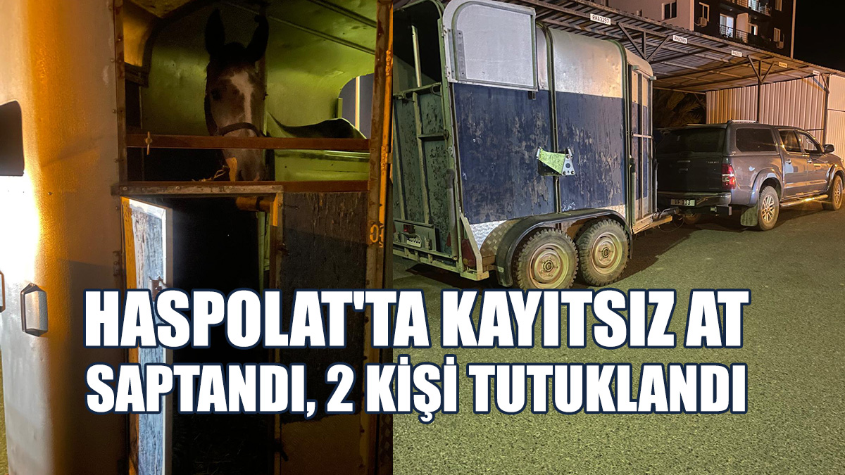 Atın Ülkede Herhangi Bir Kaydı Olmadığı Tespit Edildi