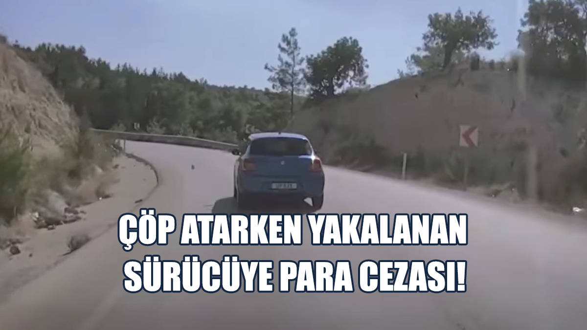 Çevre Koruma Dairesi, Çöp Atan Sürücüye Ceza Kesti