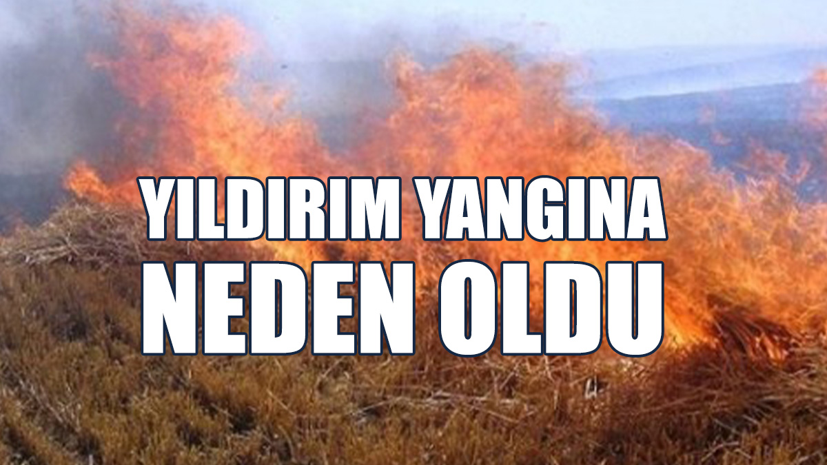 4 Ayrı Yangın Meydana Geldi