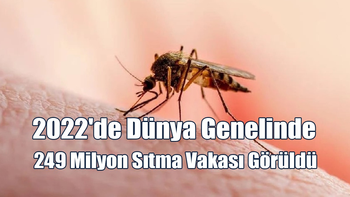 2022'de Dünya Genelinde 249 Milyon Sıtma Vakası Görüldü