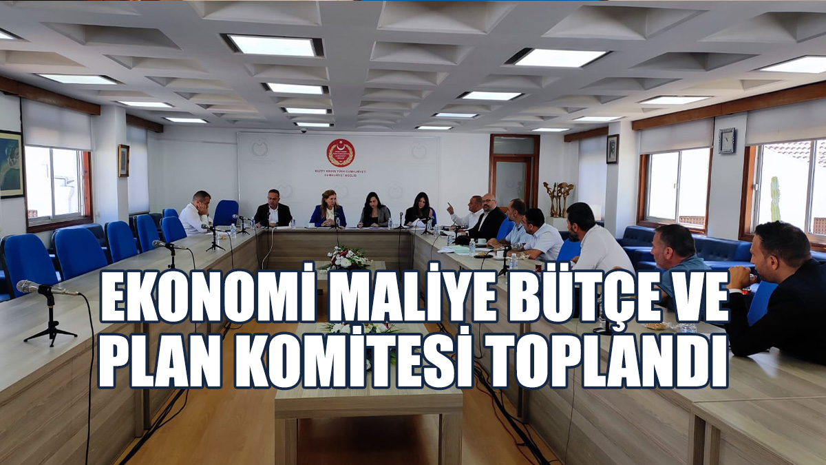 2024 Mali Yılı Genel Bütçe (Değişiklik) Yasa Tasarısı Ele Alındı