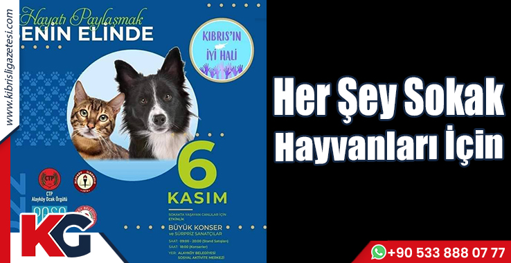 Her Şey Sokak Hayvanları İçin!   
