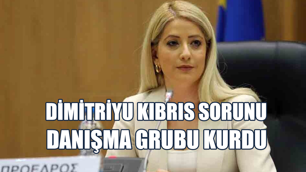 Grubun Başkanı Eski Rum Dışişleri Bakanı Kasulidis Oldu