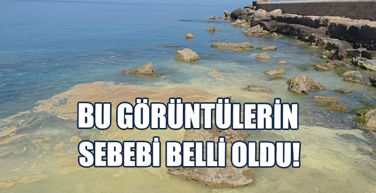 Sahillerdeki Renk Değişiminin Sebebi Anlaşıldı