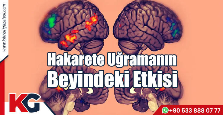 Hakarete Uğramanın Beyindeki Etkisi